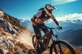 阪神虎史上最速优胜 虎迷：多亏阪神，家庭每天都很和乐｜日职